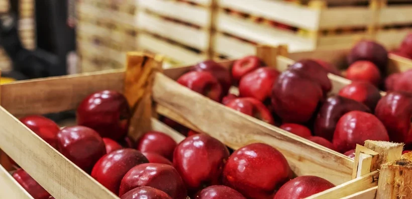 Teamleider Inpaklijn (Fruitverpakking)